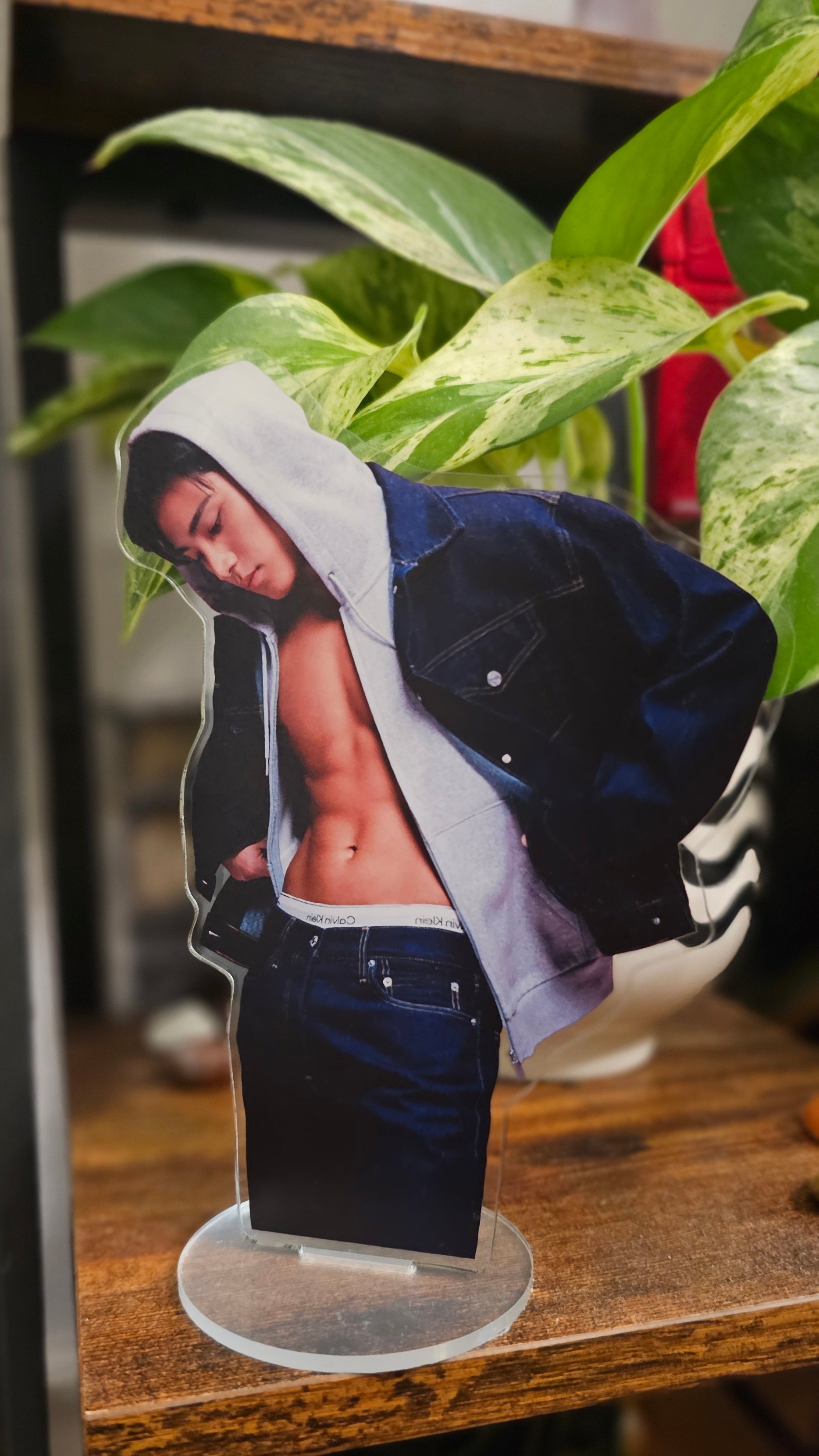 Mingyu Standee